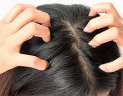 CHE TIPO DI CAPELLI HAI?